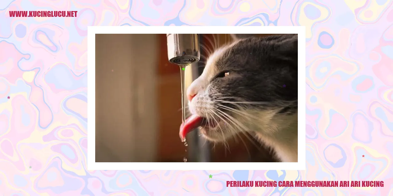 Perilaku Kucing cara menggunakan ari ari kucing