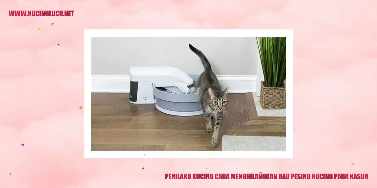 Perilaku Kucing cara menghilangkan bau pesing kucing pada kasur