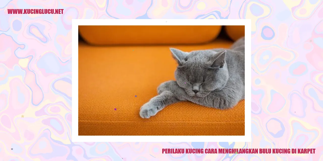 Perilaku Kucing cara menghilangkan bulu kucing di karpet