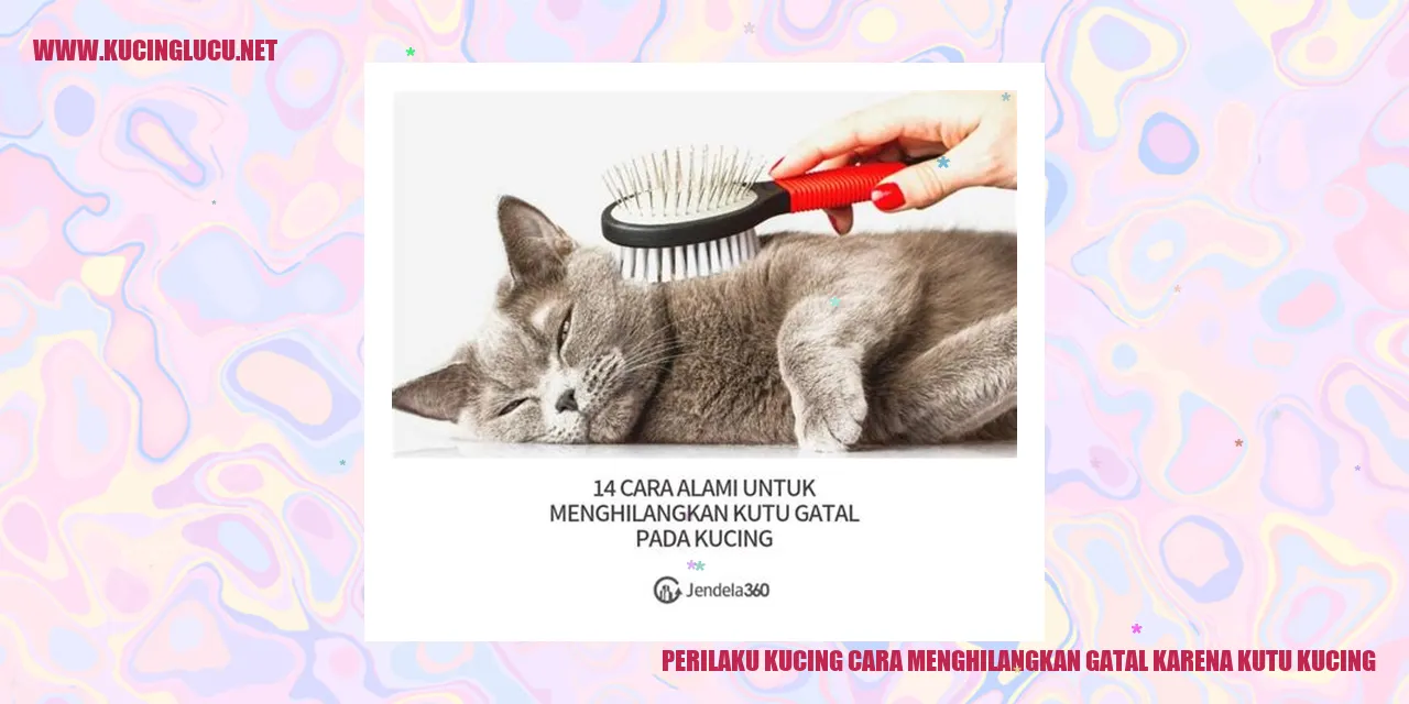 Perilaku Kucing meredakan gatal karena kutu kucing