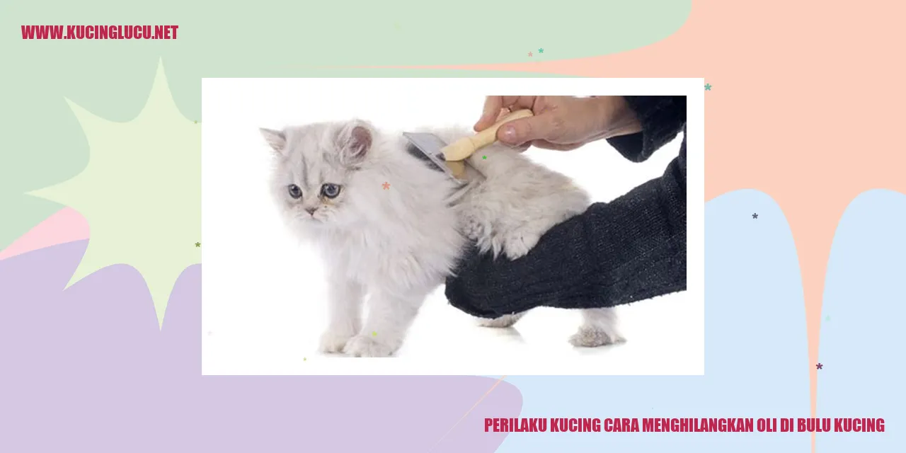 Perilaku Kucing Membantu Menghilangkan Oli di Bulu Kucing
