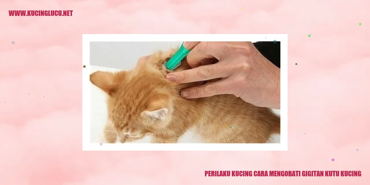 Gigitan kutu kucing
