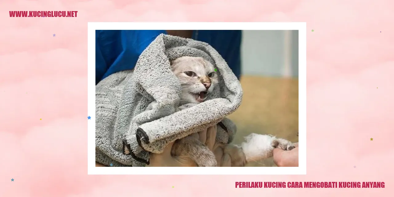 Kucing Menyembuhkan Anyang