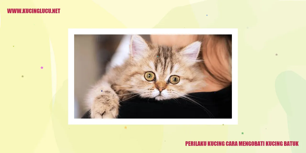 Perilaku Kucing cara mengobati kucing batuk