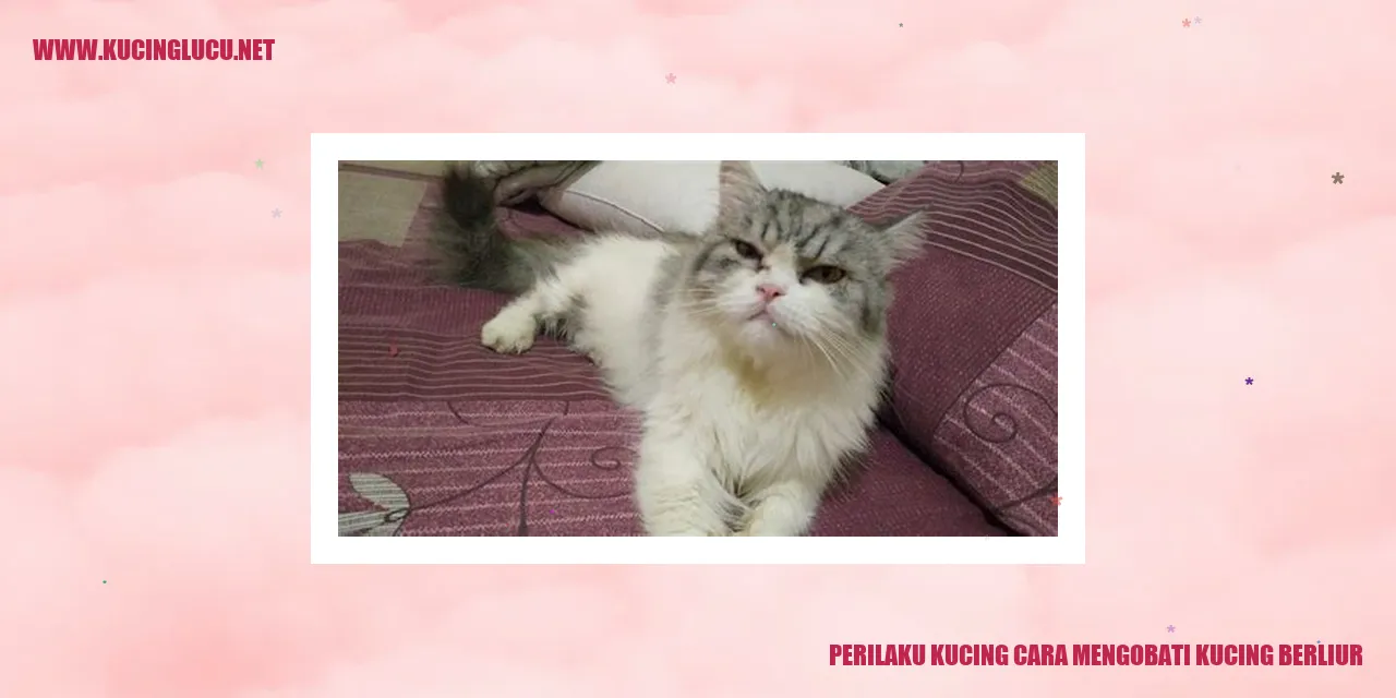 Perilaku Kucing cara mengobati kucing berliur