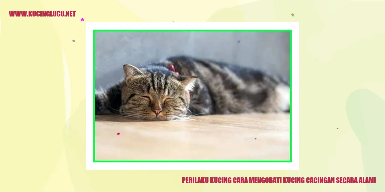 Perilaku Kucing Menangani Cacingan Secara Alami