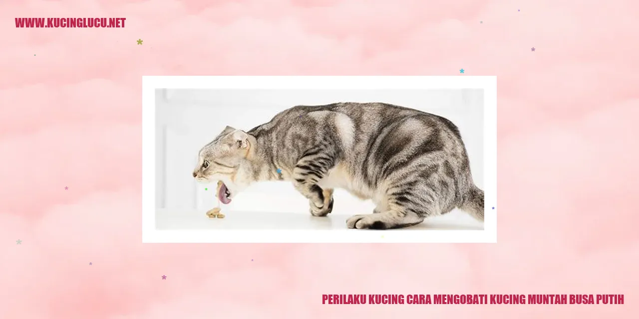 Perilaku Kucing