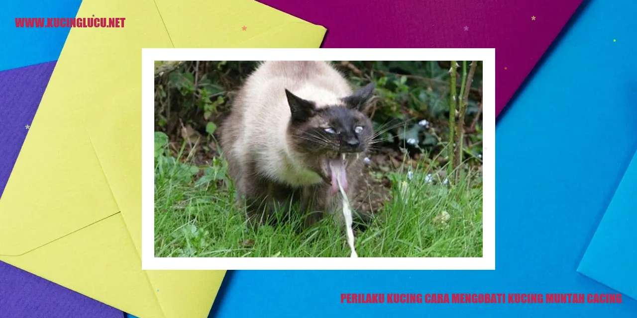 Perilaku Kucing