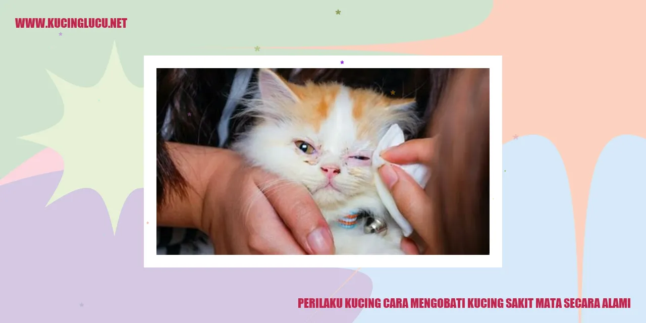 Kucing mengatasi sakit mata