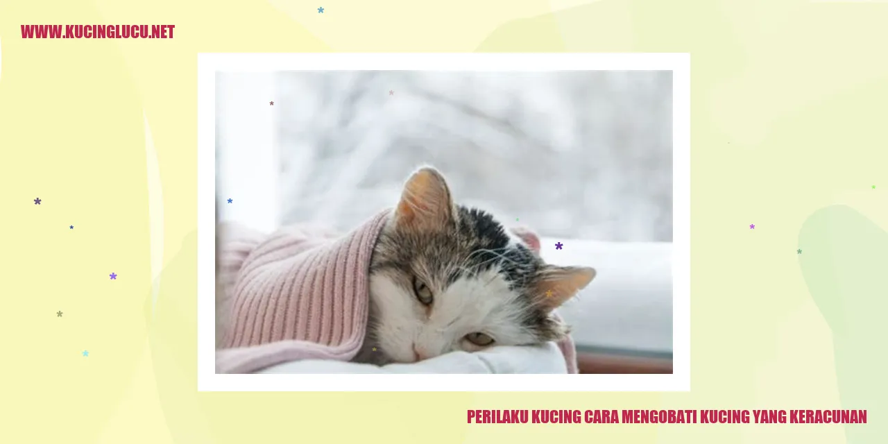 Perilaku Kucing