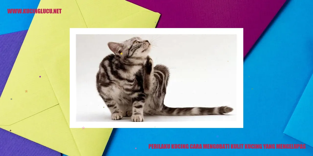 Gambar kucing sedang merawat kulit yang mengelupas