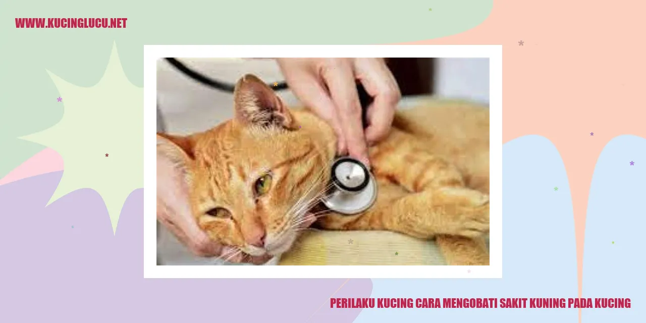 Gambar kucing sedang tidur