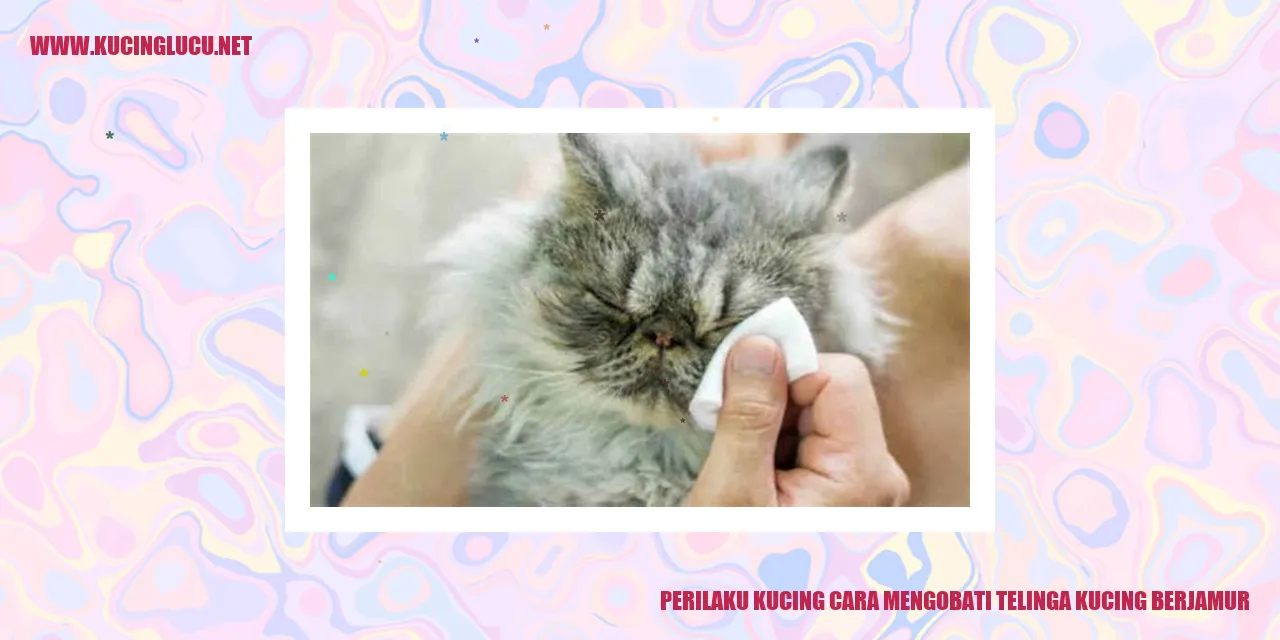 Kucing Mengobati Telinga Berjamur