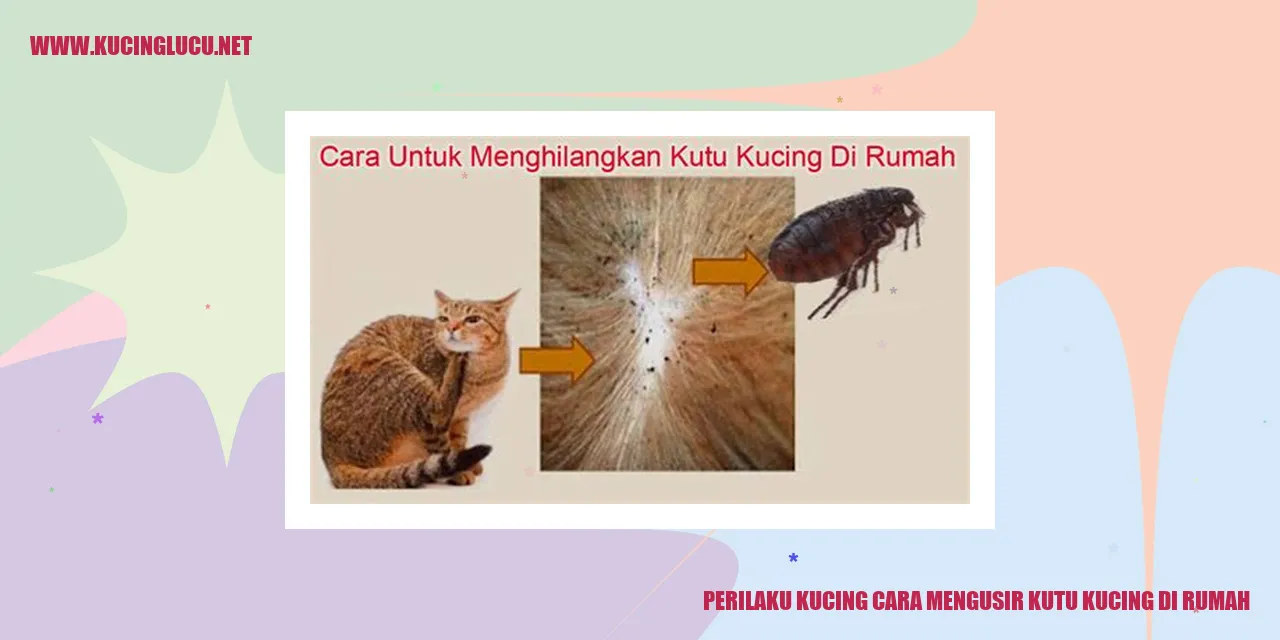 Kucing Menyingkirkan Kutu Kucing di Rumah