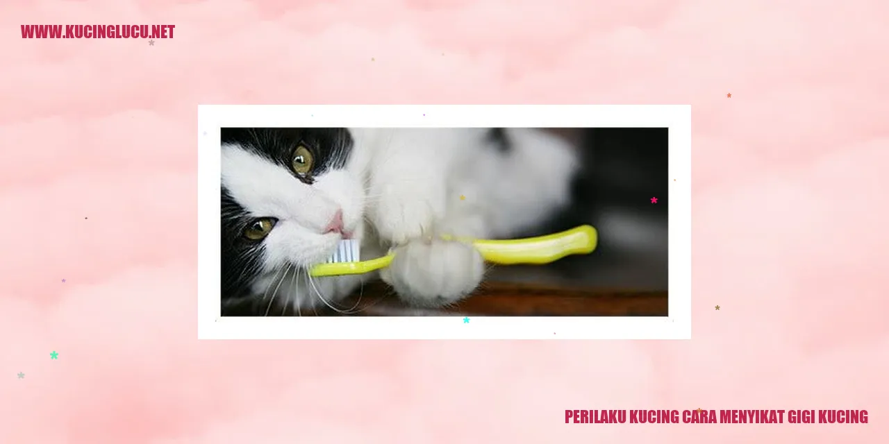 Perilaku Kucing saat Menjaga Kesehatan Gigi
