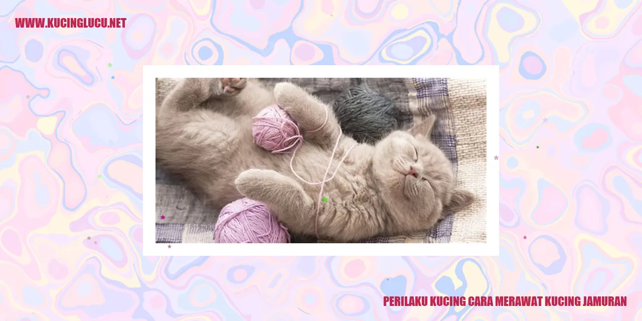 Perilaku Kucing dan Cara Merawat Kucing Jamuran