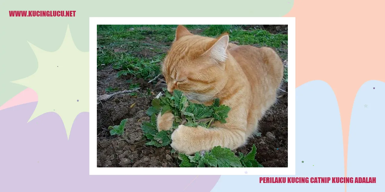 Perilaku Kucing saat Terkena Catnip