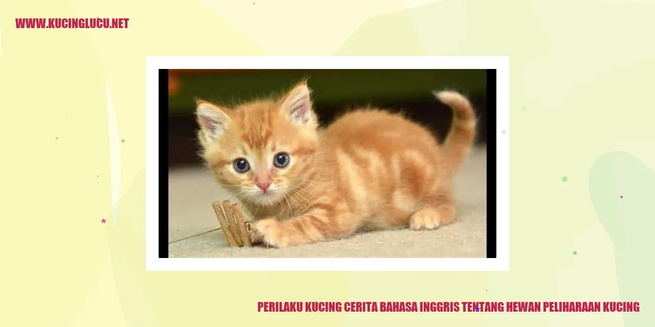 Perilaku Kucing