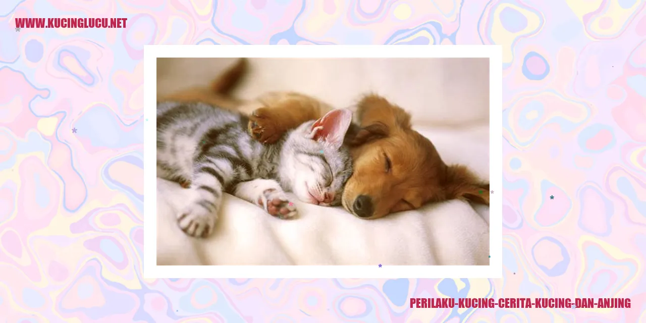 Perilaku Kucing dan Anjing