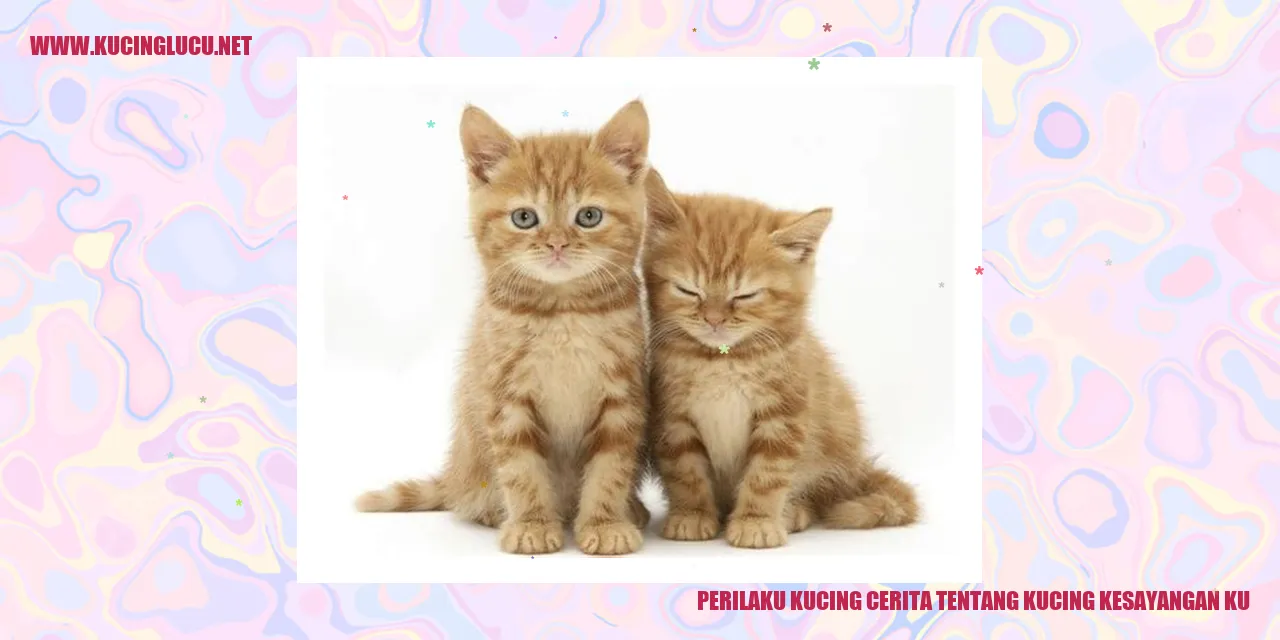Kucing Kesayangan