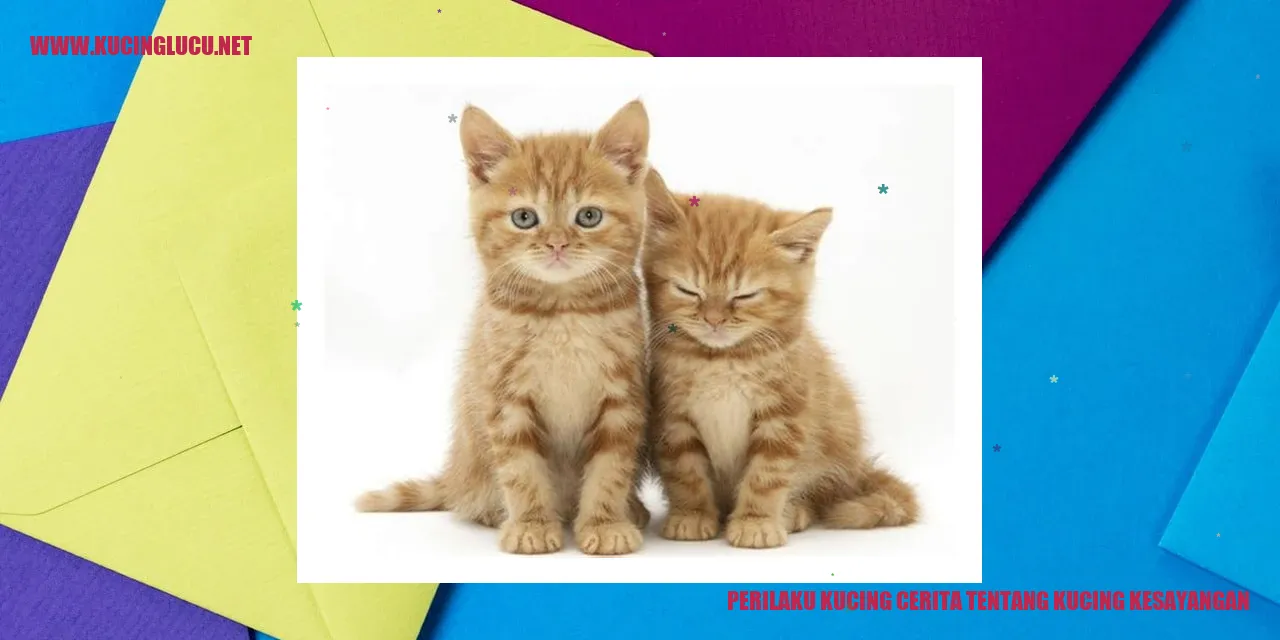Gambar Kucing Kesayangan