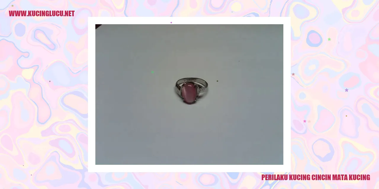 Kucing cincin mata