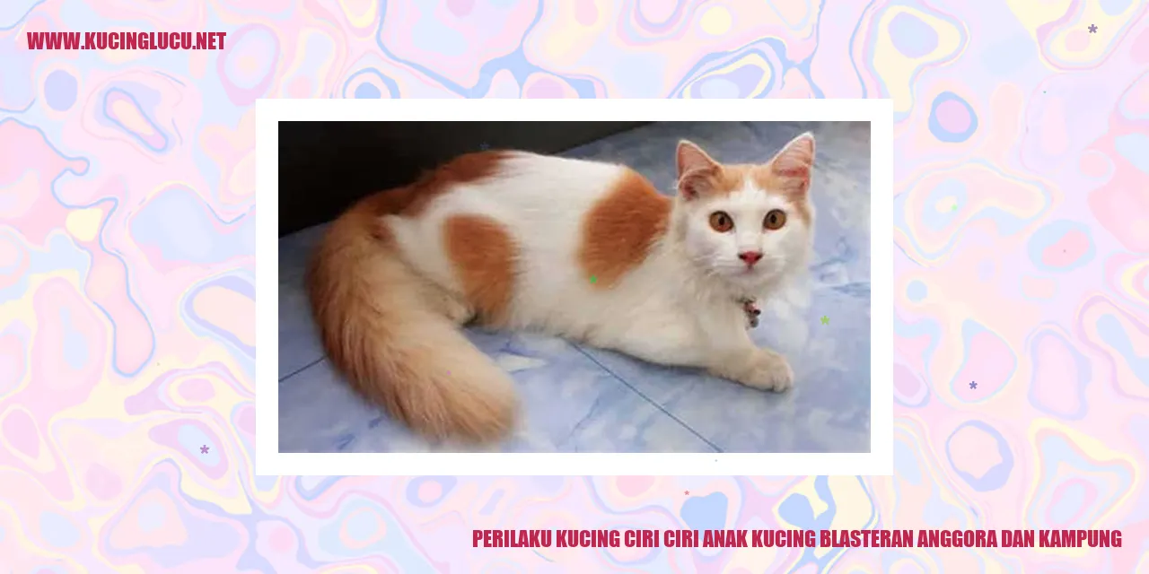 Perilaku Kucing