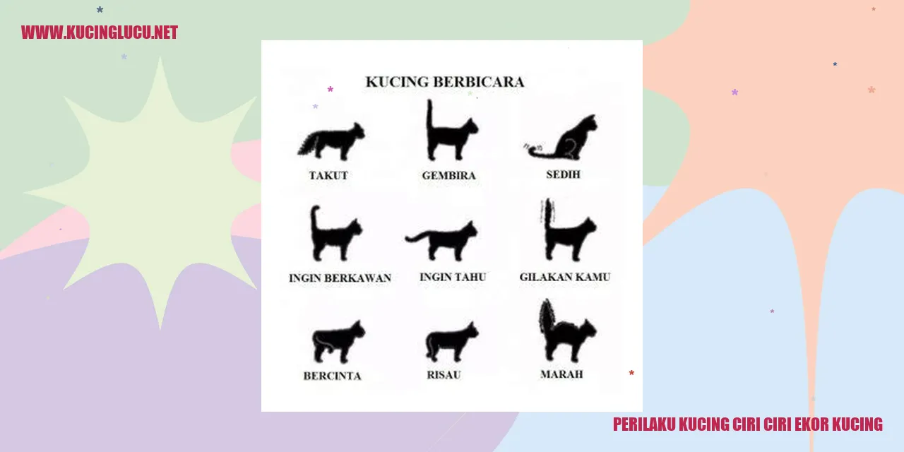 Gambar Kucing Lucu Sedang Tidur