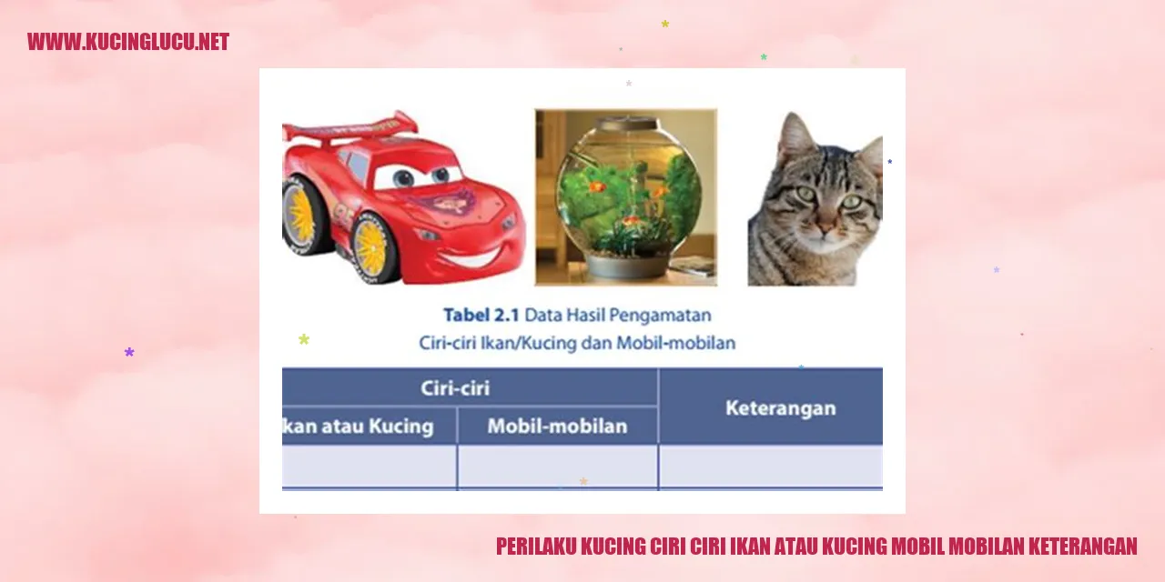 Kucing Lucu