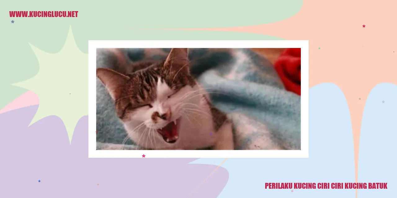 Kucing batuk