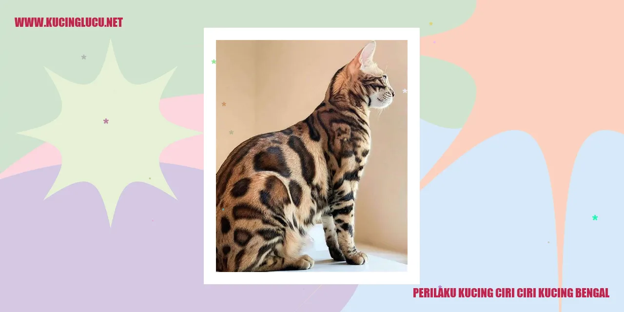 Kucing Bengal yang Menakjubkan