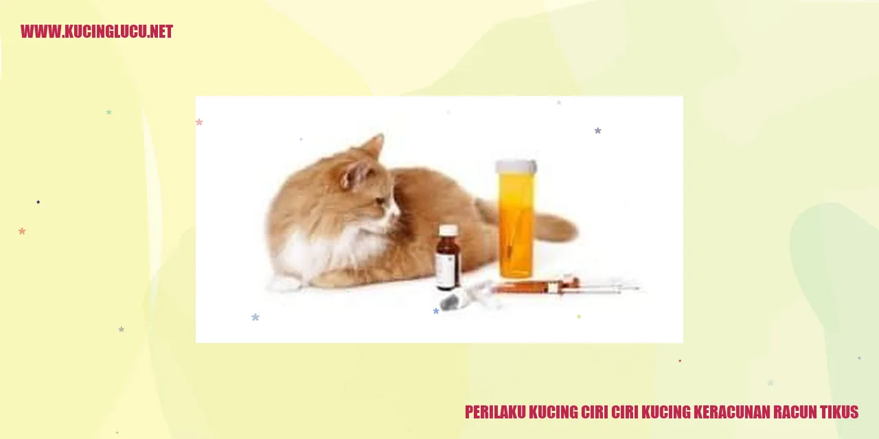 Perilaku Kucing saat Keracunan Racun Tikus