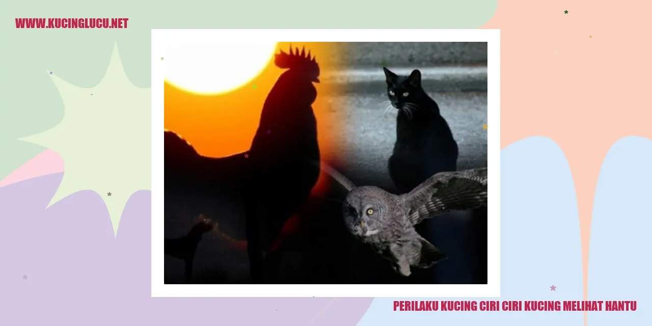 Kucing Melihat Hantu