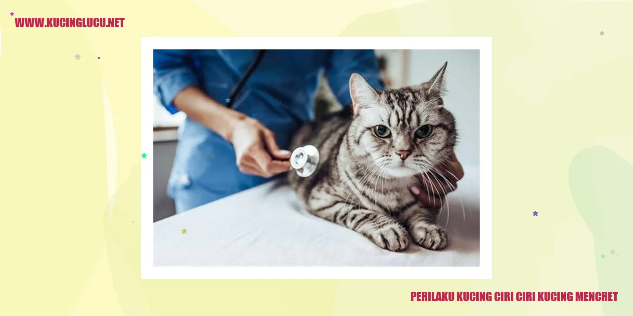 Gambar kucing yang mencret