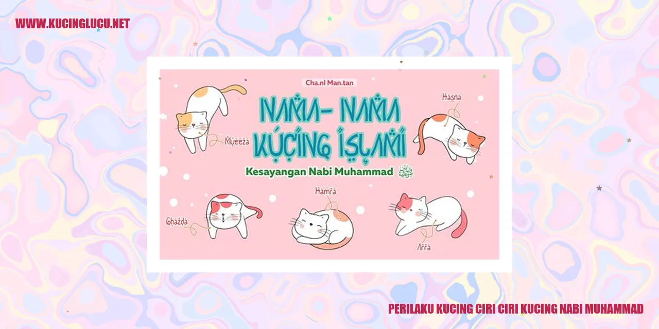 gambar perilaku kucing