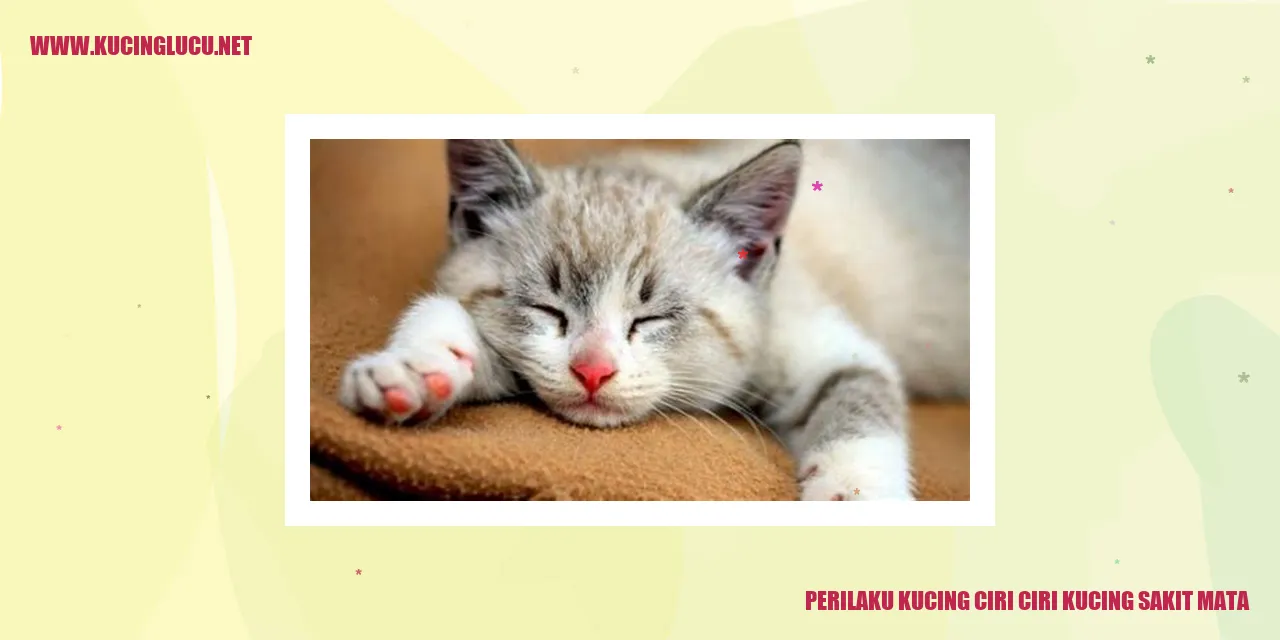 Perilaku Kucing ciri ciri kucing sakit mata