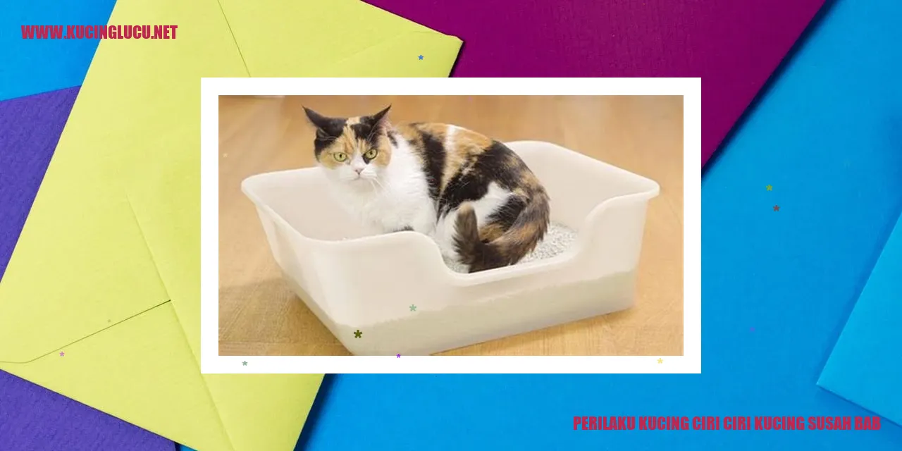 Kucing sedang menghadapi kesulitan buang air besar