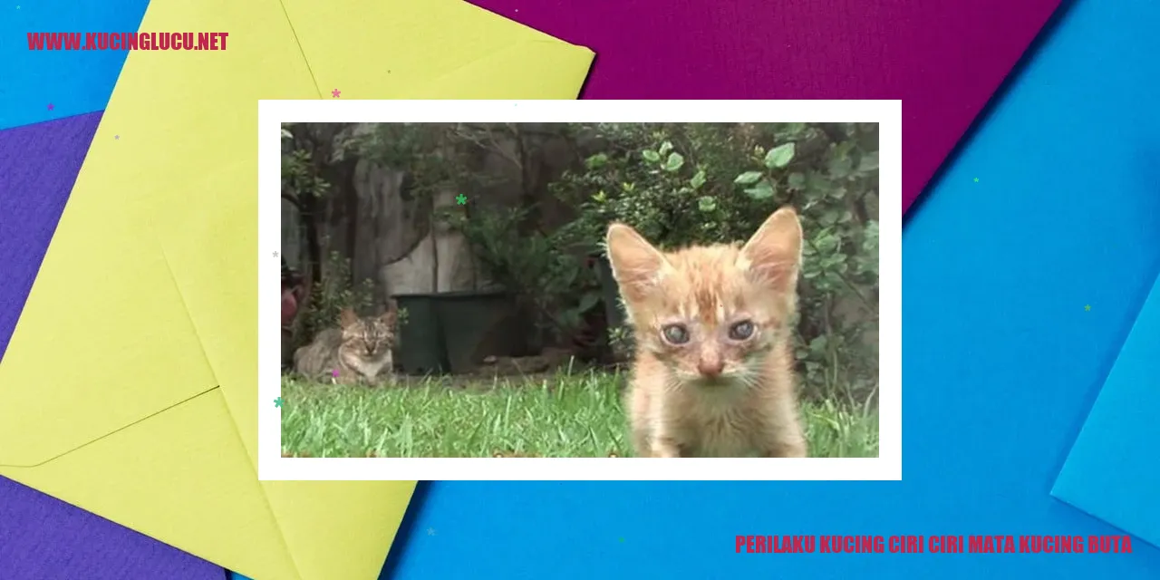 Perilaku Kucing dan Ciri-ciri Mata Kucing Buta