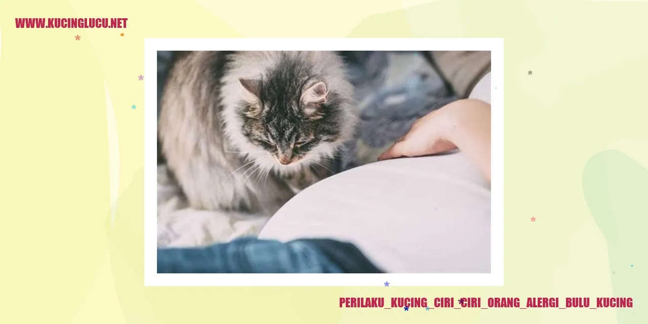 Perilaku Kucing ciri ciri orang alergi bulu kucing