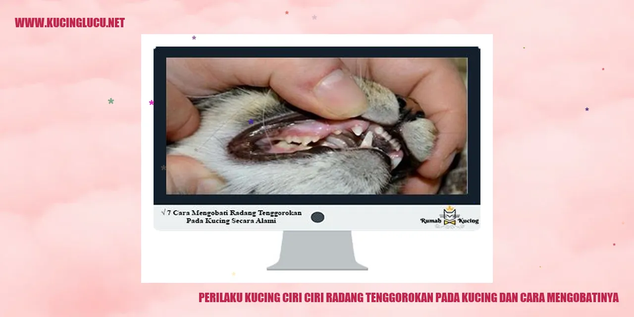 Gambar Kucing