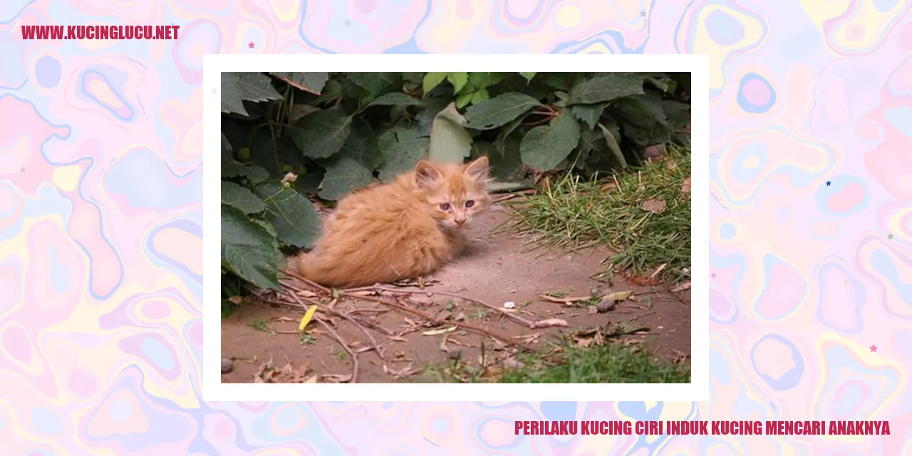 Kucing dan anaknya
