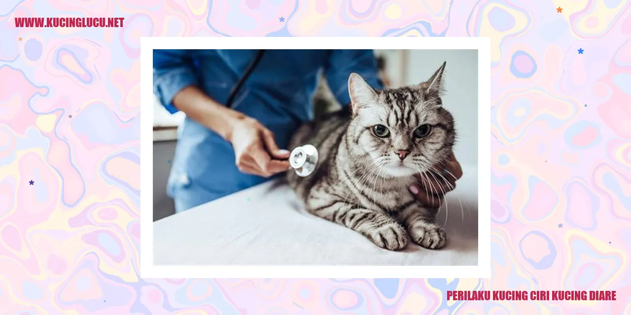Perilaku Kucing diare