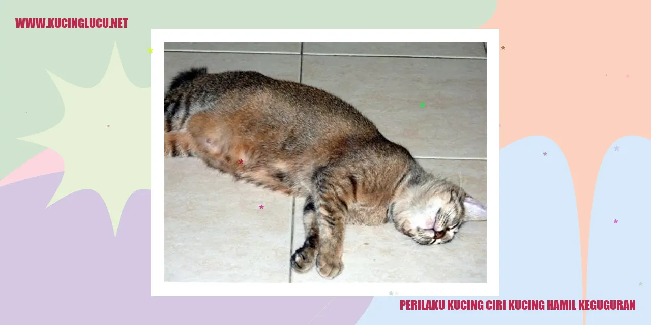 Perilaku Kucing