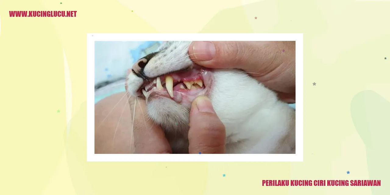 Perilaku Kucing dan Tanda-tanda Kucing Mengalami Sariawan