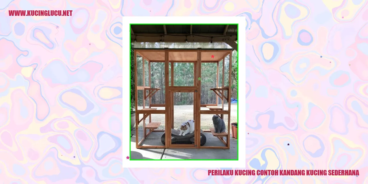 Kucing duduk dalam kandang
