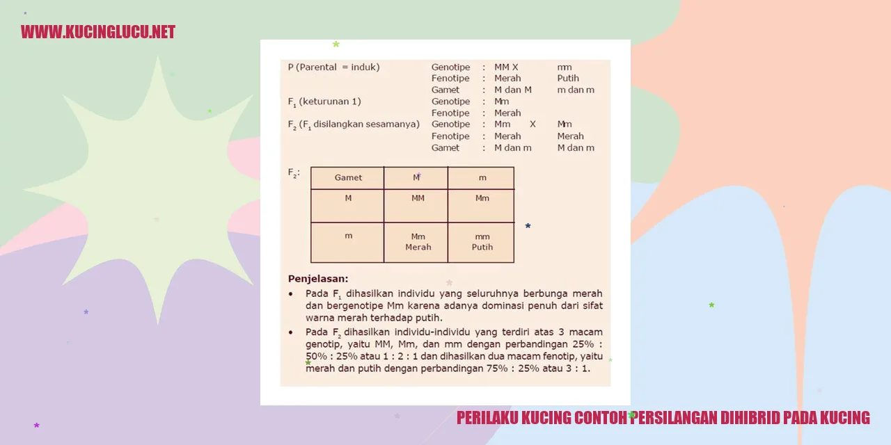 Perilaku Kucing contoh persilangan dihibrid pada kucing
