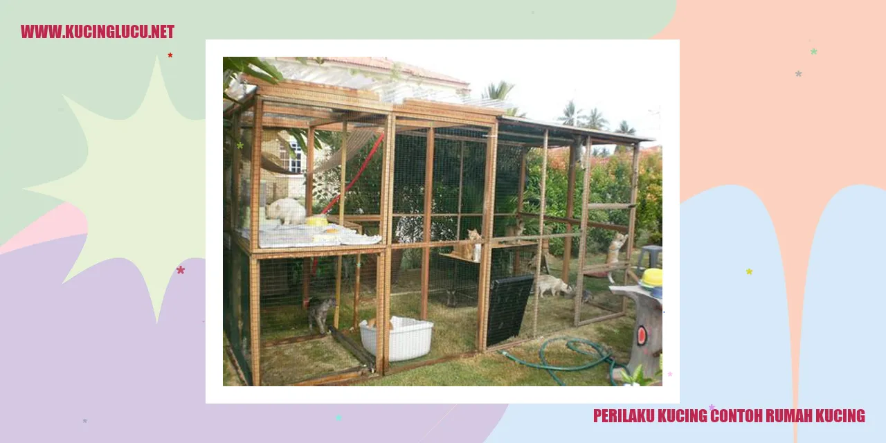 Gambar kucing di rumah