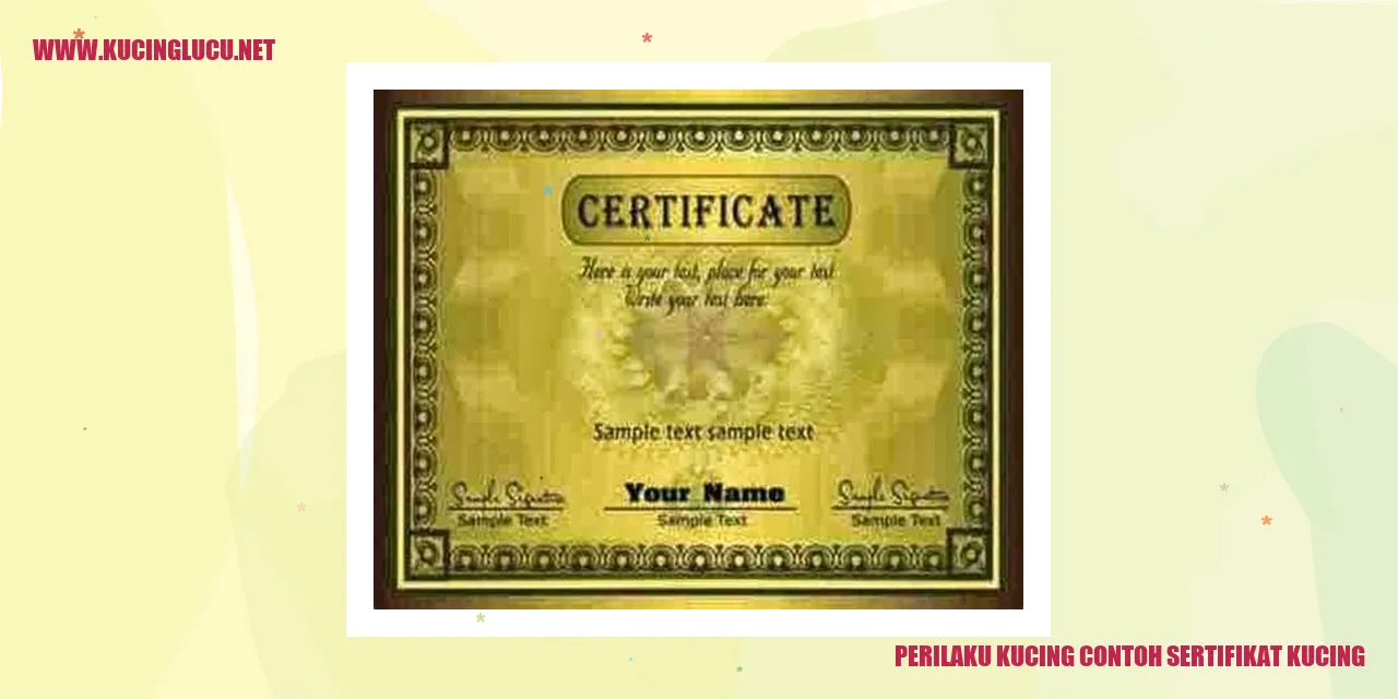 Contoh Sertifikat Kucing