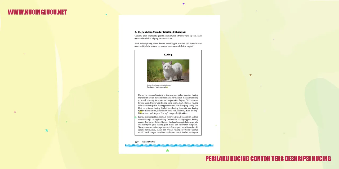 Kucing sedang bersantai