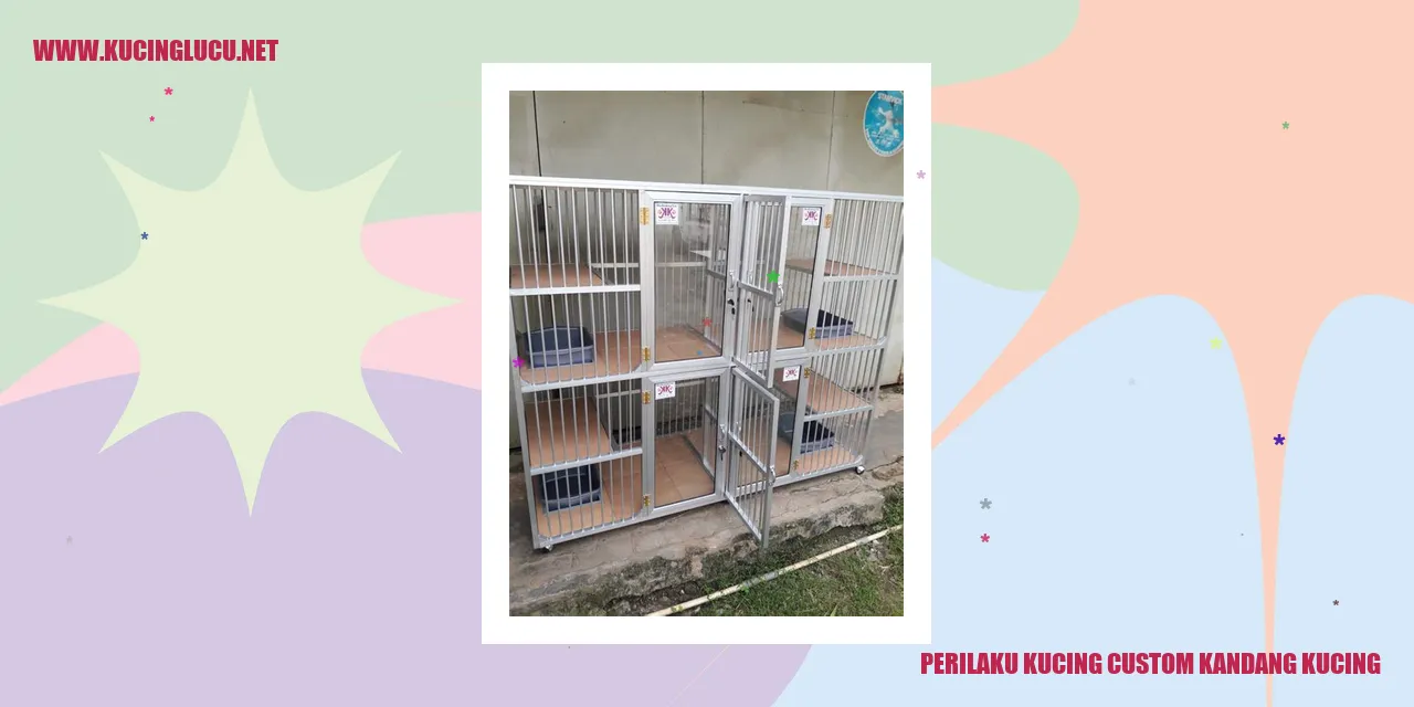 Kucing dalam Kandang